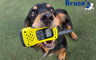 Bruce’s Doggy Day Care Benefitting from Motorola T92 Walkie Talkies