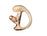 Motorola DP3000 & DP4000 RLN4761A Comfortable Ear Insert for earpieces (Right Ear, Medium)